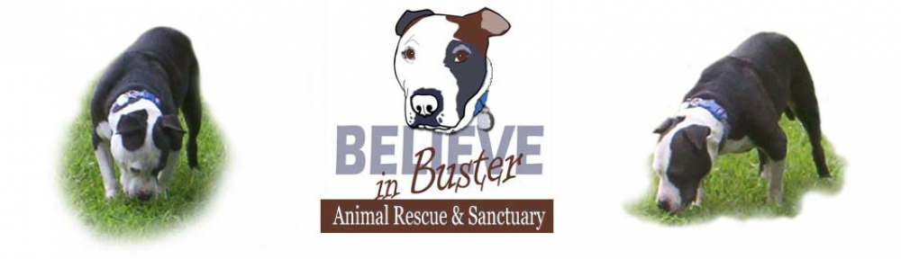 Believe In Buster